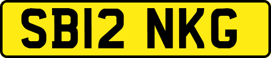 SB12NKG