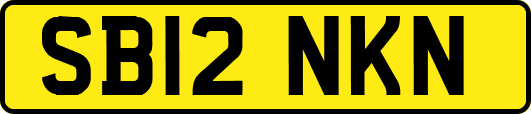 SB12NKN