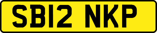 SB12NKP