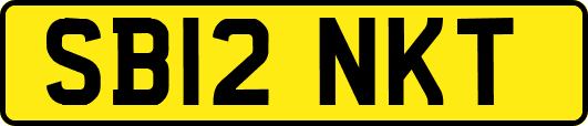 SB12NKT