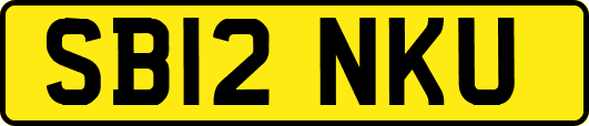 SB12NKU