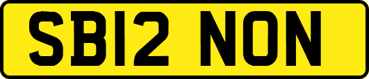 SB12NON
