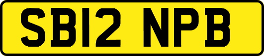 SB12NPB