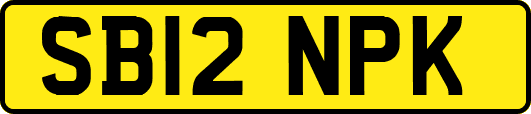 SB12NPK