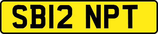 SB12NPT