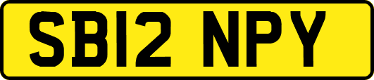 SB12NPY