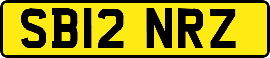 SB12NRZ