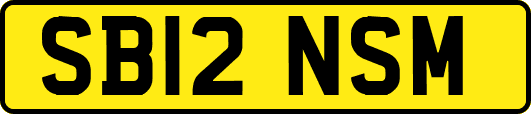 SB12NSM