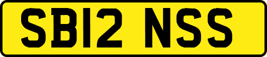 SB12NSS