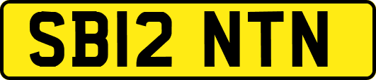 SB12NTN