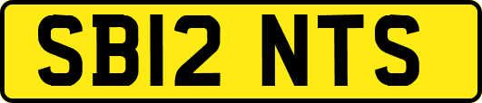 SB12NTS
