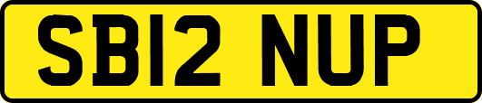 SB12NUP