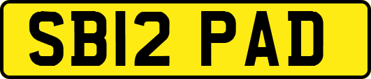 SB12PAD
