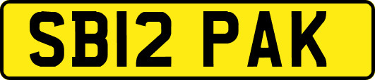SB12PAK