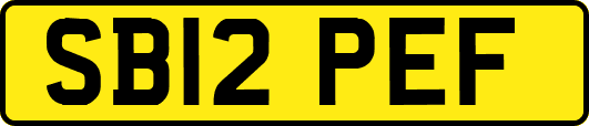 SB12PEF
