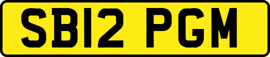 SB12PGM