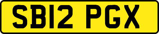 SB12PGX