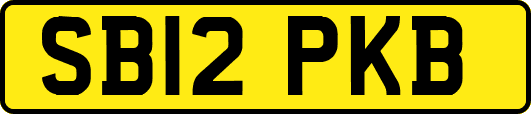 SB12PKB