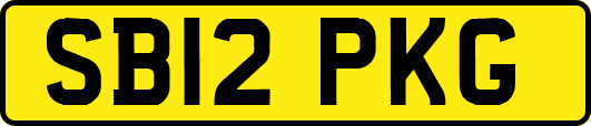 SB12PKG