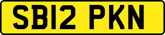 SB12PKN