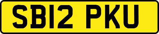 SB12PKU