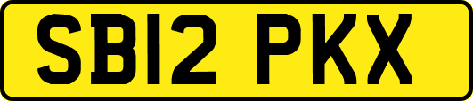SB12PKX