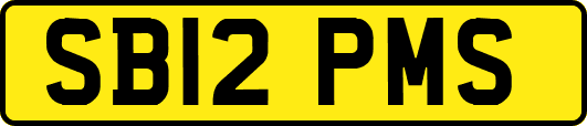 SB12PMS