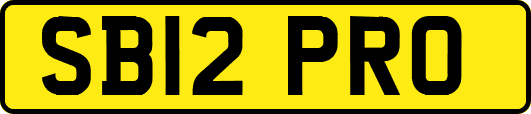 SB12PRO