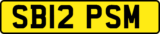 SB12PSM
