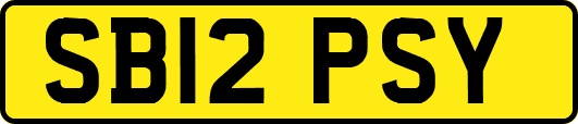 SB12PSY