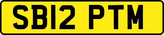 SB12PTM