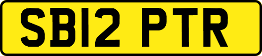 SB12PTR