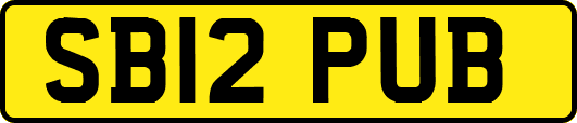 SB12PUB