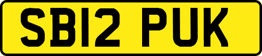 SB12PUK