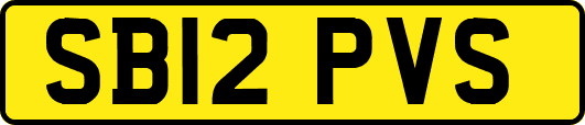 SB12PVS