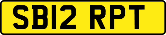 SB12RPT