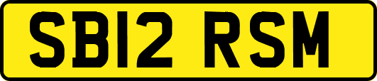 SB12RSM