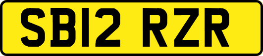 SB12RZR
