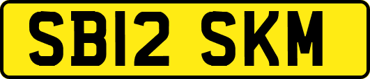 SB12SKM