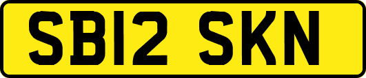 SB12SKN