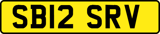 SB12SRV