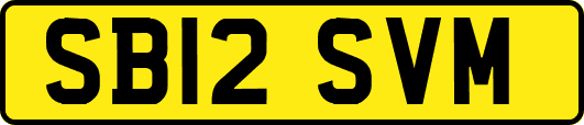 SB12SVM