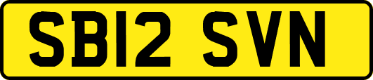 SB12SVN