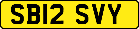 SB12SVY