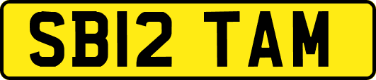 SB12TAM