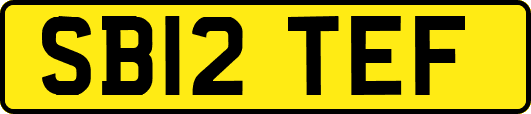 SB12TEF