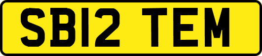SB12TEM