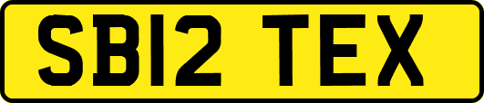 SB12TEX
