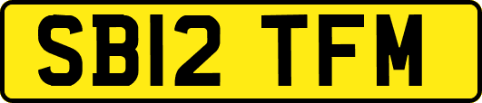 SB12TFM