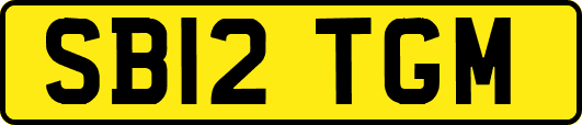 SB12TGM